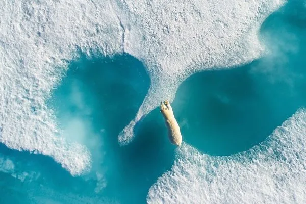 İşte bu yılın en iyi drone fotoğrafları