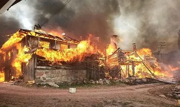 Tosya’da bir köy alev alev yandı