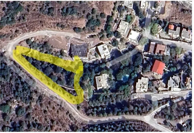 Bodrum Belediyesi, Suavi’nin ağaç katliamına sessiz