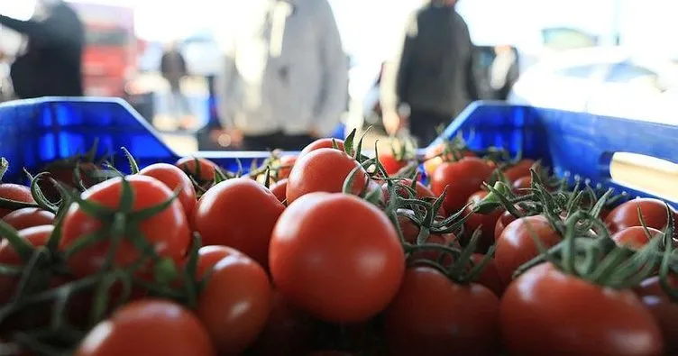 Rusya ve Ukrayna savaşı domates, biber ve salatalık fiyatını yüzde 30 düşürdü
