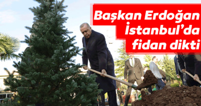 Başkan Erdoğan İstanbul’da fidan dikti