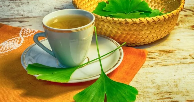 Ginkgo Biloba Çayı Faydaları Nelerdir? Ginkgo Biloba Çayı Nasıl Yapılır?
