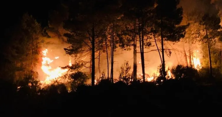 Sinop’ta çıkan orman yangını yürekleri ağza getirdi