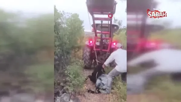Kuyuya düşen keçi kepçeyle kurtarıldı | Video