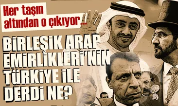 Her taşın altından BAE çıkıyor!