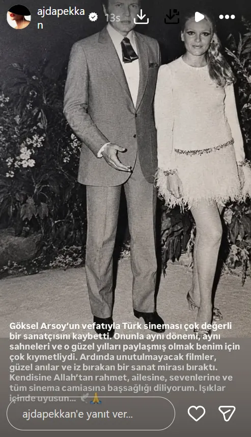 yesilcamin-altin-cocukuna-veda-ajda-pekkanndan-arkadasi-goksel-arsoya-duygusal-mesaj-1791268794234.png