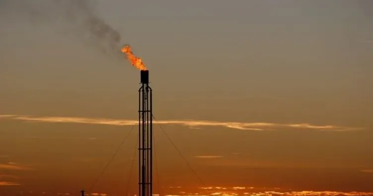 PETFORM Genel Sekreteri Kalay: Yeni doğal gaz kanunu ithalatta avantaj sağlayacak