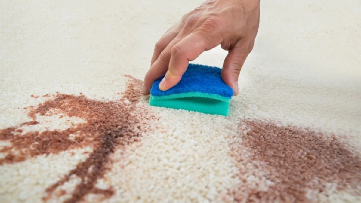 Bu yöntemle halıdaki lekeler yok oluyor! Evdeki malzemelerle kesin sonuç… Bu yöntemle halıdaki lekeler yok oluyor! Evdeki malzemelerle kesin sonuç…