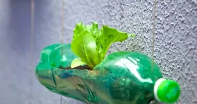 Plastik şişeleri sakın atmayın: Balkonu ve bahçeyi baştan aşağı değiştiriyor!