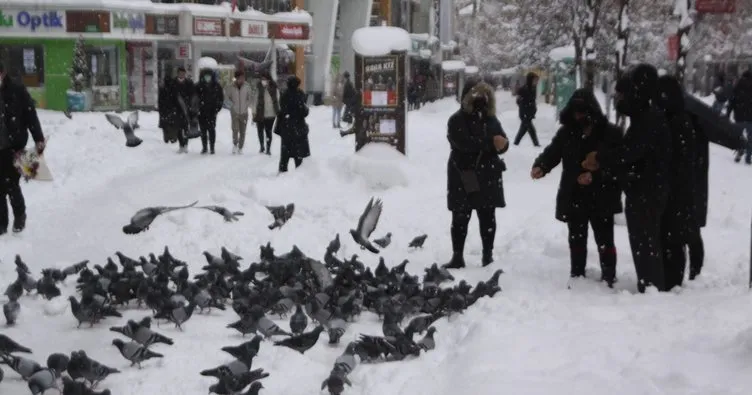 Bolu’da kar manzaraları