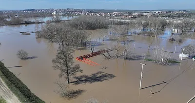 Edirne’de Meriç Nehri’nin debisi arttı! Ekipler botlarla geldi, hayvanlar güvenli bölgeye taşındı