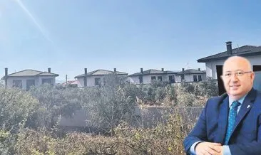 CHP’li belediye zeytinliklere böyle çöktü: Villa istilası