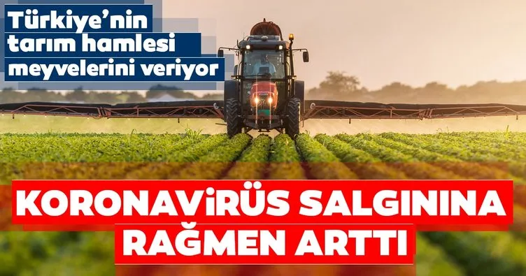 Türkiye’nin hamlesi meyvelerini veriyor! Tarımda ihracat Kovid-19’a rağmen arttı