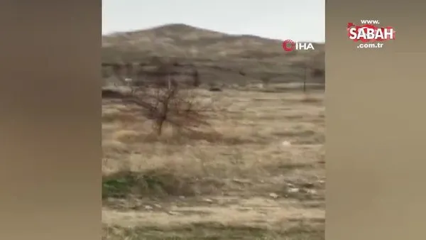 17 bin TL harcadı, ağaçlarını keseni fotokapanla yakaladı | Video