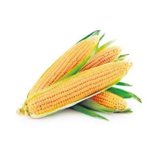 8 soruda gdo meselesi selahattin donmez