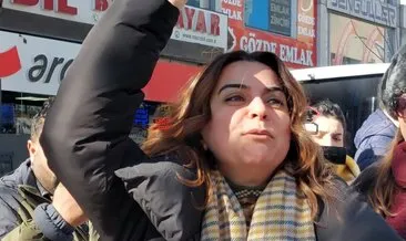 Vanda bir grup gösterici tarafından