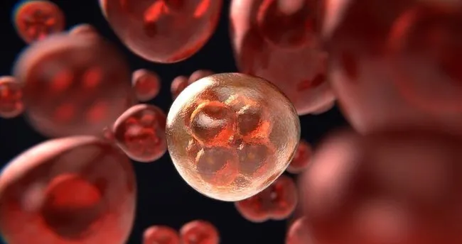 Kanserin bir numaralı düşmanı!