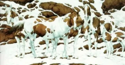 Resimde kaç tane at görüyorsunuz? Ressamla bilim insanları adeta birbirine girdi