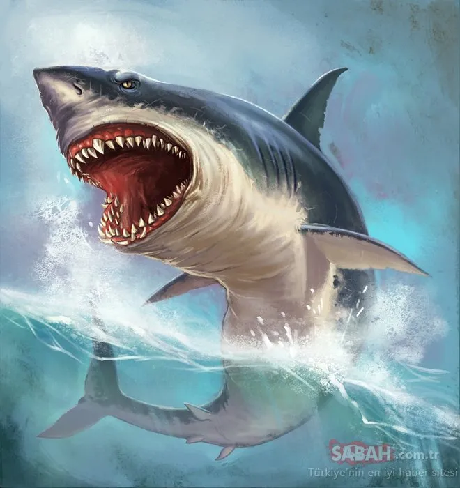 Megalodon köpek balığının gerçek boyutları ortaya çıktı Son Dakika