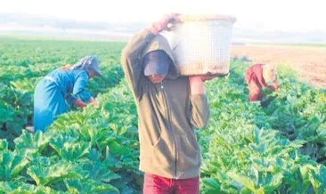 450 bin çiftçi kayıt altına alındı