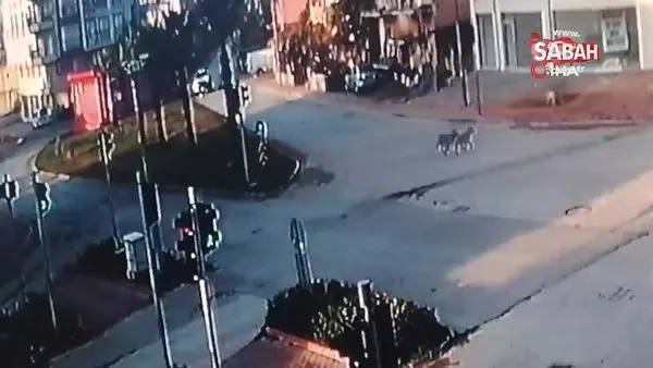 Çalıntı motosikletle kaza yapan hırsızlar kamerada | Video