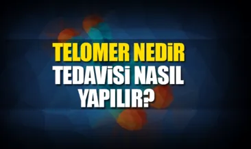 Telomer tedavisi nedir? - Sertap Erener’in uyguladığı telomer tedavisi nasıl yapılır? - İşte yanıtı