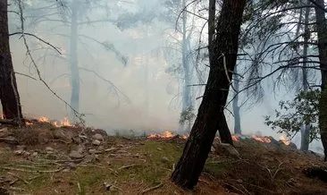 Son dakika: İzmir'de makilik ve orman yangını! Ekipler müdahale ediyor #izmir