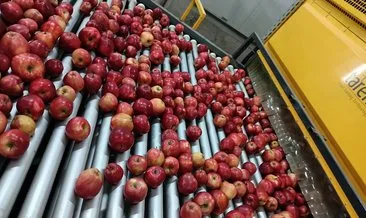 Elma üretimi yatırımlarla artırılacak #karaman
