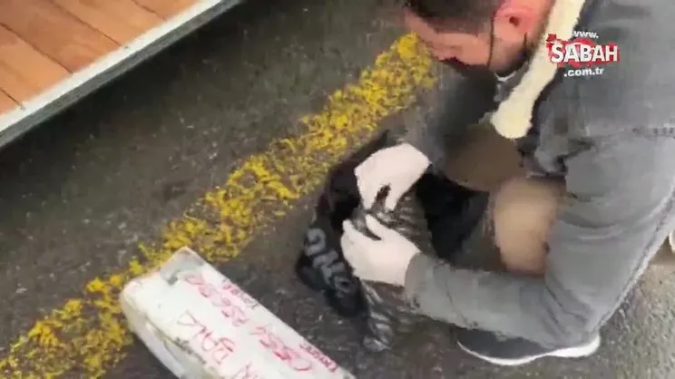 Yolcu otobüsüne uyuşturucu baskını! 2 yolcunun bagajlarından 1 kilo... | Video