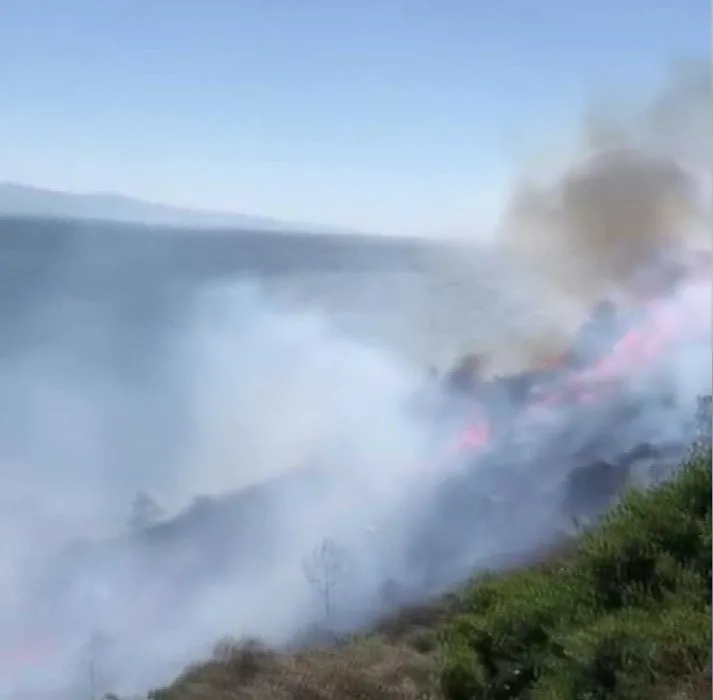 Burgazada’da ormanlık alanda yangın çıktı