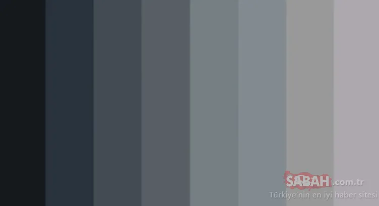 Sosyal medyayı sallayan optik illüzyon! Kimse doğru cevabı bilemiyor!