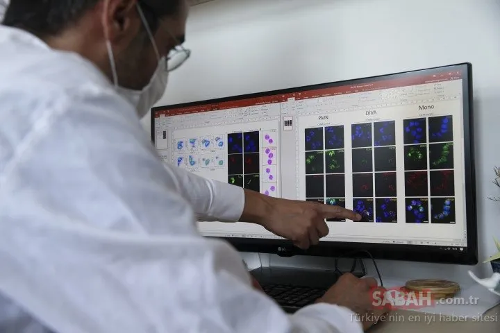Türk bilim insanları kanserle savaşacak uyuyan hücrelerin şifrelerini keşfetti