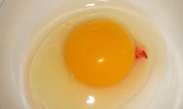 Yumurtada kan lekesi varsa tüketmek sakıncalı mı?