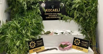 Orak ile kenevir hasadı yaparken yakalandı #kocaeli Orak ile kenevir hasadı yaparken yakalandı #kocaeli
