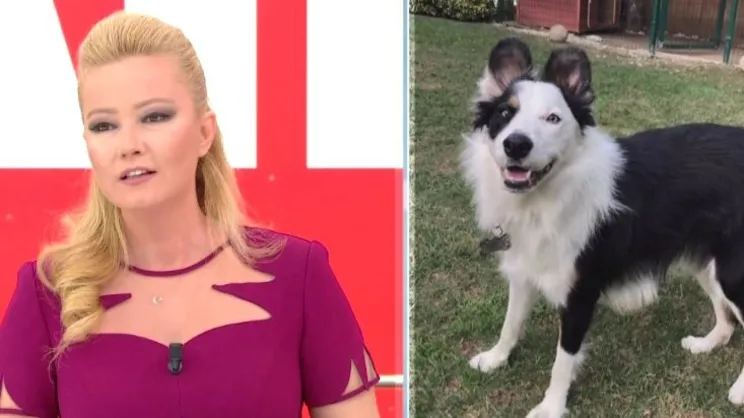 Müge Anlı'da Şerlok, yeni yuvasına kavuştu!