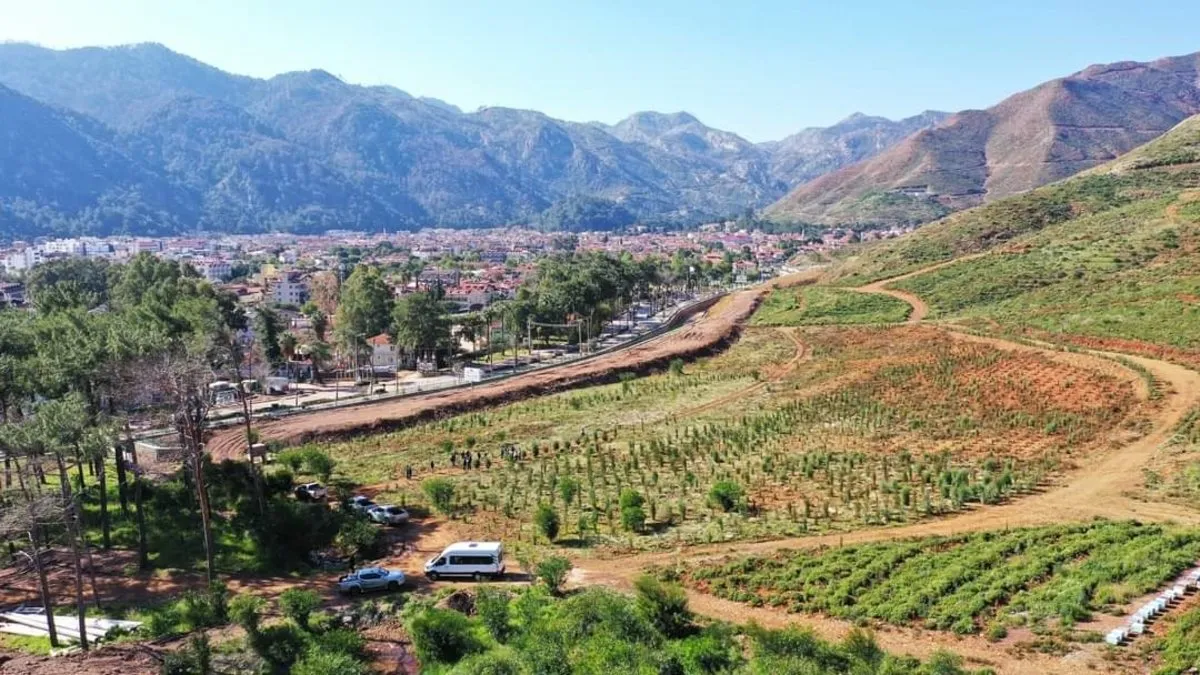 Bodrum’da yanan alanlarla ilgili OGM'den açıklama