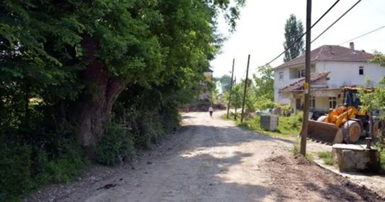 Zonguldak’ta Meşe ağaçlarını kesmemek için yol projesini değiştirdiler