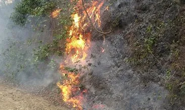 Tarım ve Orman Bakanı Bekir Pakdemirli’den Karadeniz’deki yangınlarla ilgili son dakika açıklaması