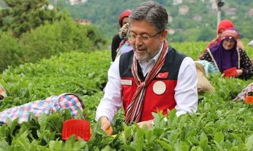 Yumaklı” 1 milyon 300 bin ton rekölte bekliyoruz” #rize