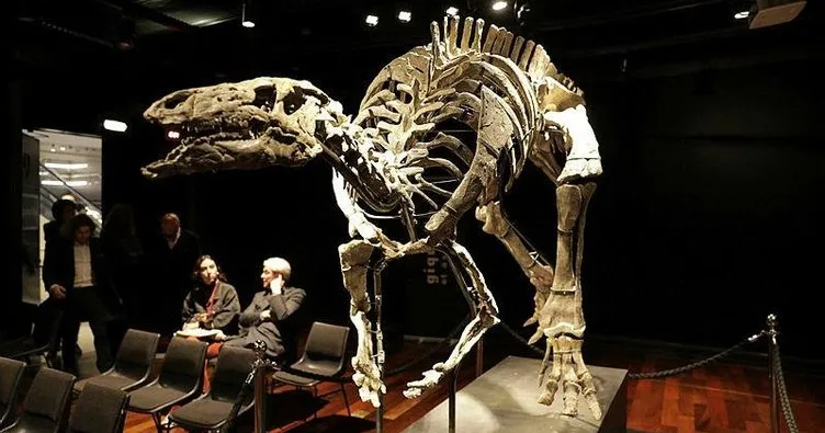 150 milyon yıllık dinozor iskeleti açık artırmayla satıldı