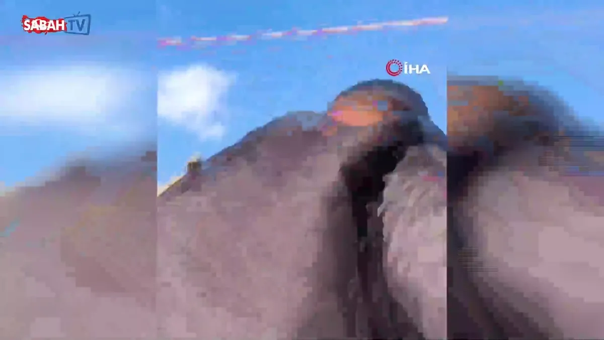 Siirt'te traktör devrildi: 2 ölü, 1 yaralı Siirt'te traktör devrildi: 2 ölü, 1 yaralı