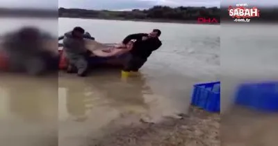 Seyhan Baraj Gölü’nde dev yayın balığı yakaladılar | Video