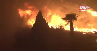 İspanya’da orman yangını: Bin 400 hektarlık alan kül oldu | Video
