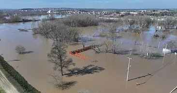 Edirne’de Meriç Nehri’nin debisi arttı! Ekipler botlarla geldi, hayvanlar güvenli bölgeye taşındı