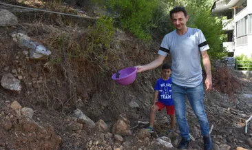 Yolda bulduğu bukalemunu doğaya bıraktı