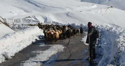 Muş’ta kar yağışı nedeniyle mahsur kalan çobanlar ve koyun sürüsünün imdadına İl Özel İdare ekipleri yetişti #mus