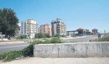 Mahalleyi sinek bastı