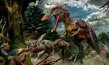 70 milyon yıldır bozulmadan durmuş… Dinozor fosili tarihi aydınlatabilir