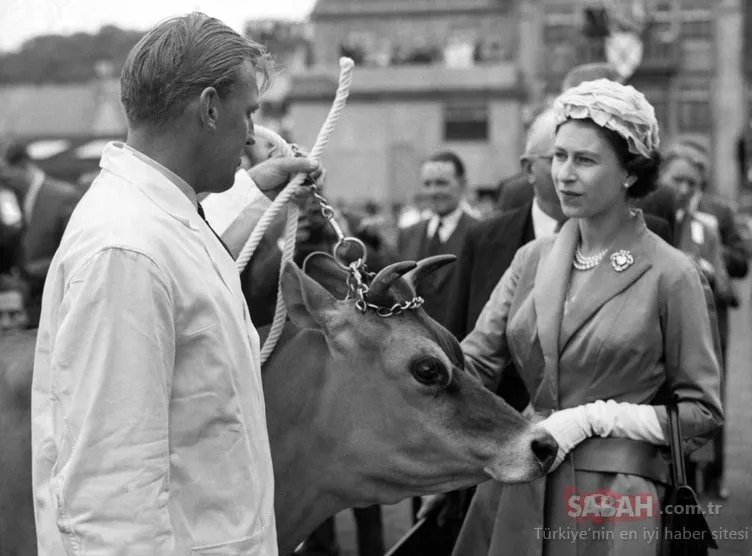 Kraliçe Elizabeth'in uzun yaşam sırrı ortaya çıktı! İşte 93 yaşındaki Kraliçe Elizabeth'in sırrı...