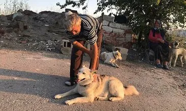 Ankara’da korkunç olay! Köpekleri besliyor diye kafasından vuruldu